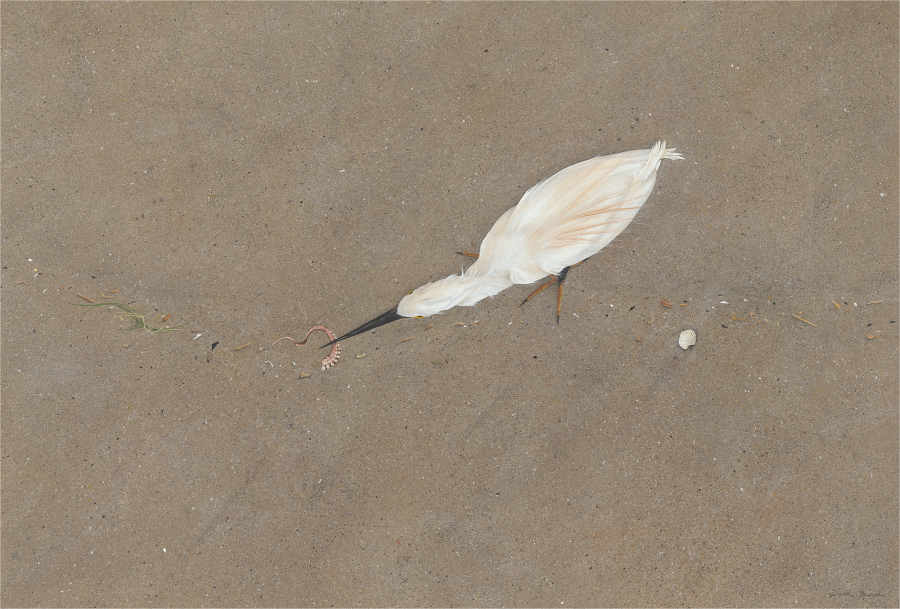 Egret in the Tideline, Limited Edition print from original egg tempera painting.