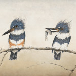Little River Kingfishers – Derek Bond