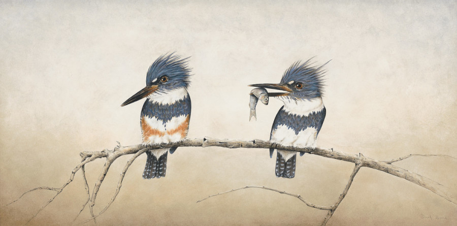 Little River Kingfishers by Derek Bond, Limited Edition print from original egg tempera painting.