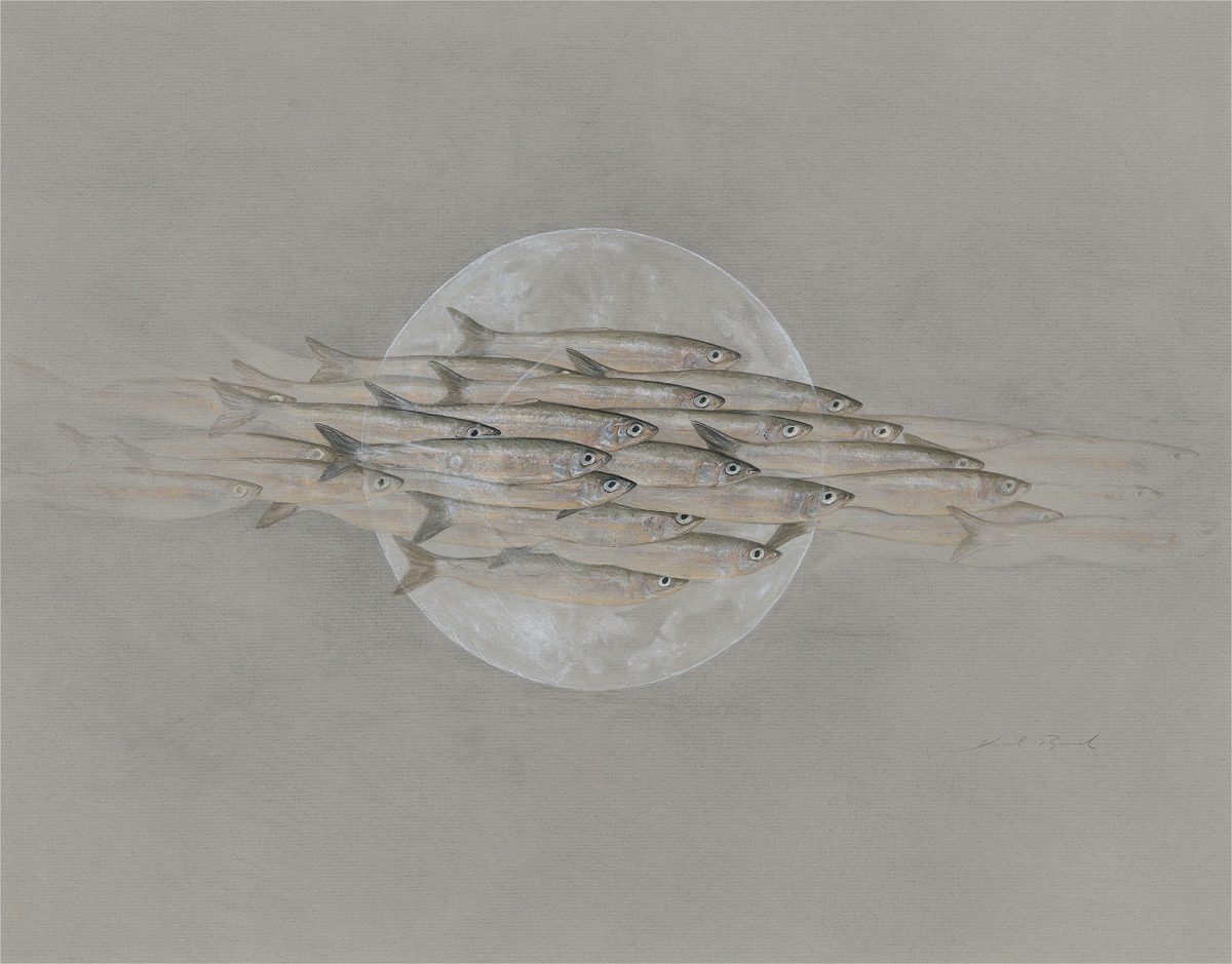 Nightfish by Derek Bond, Limited Edition print from original egg tempera painting on Ingres paper.