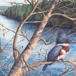 Mad River Kingfisher – Linda Parkinson